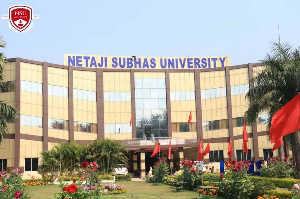 Netaji Subhas University